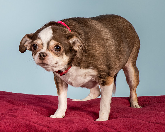 Foster Sophie-5223
