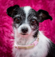 Foster Olive-7597
