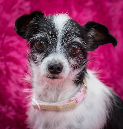 Foster Olive-7597