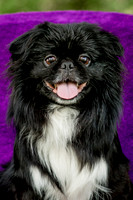 Foster Prince-0767