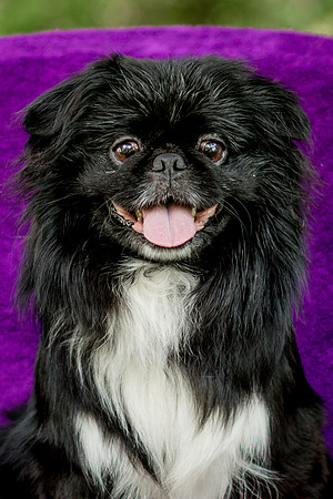 Foster Prince-0767