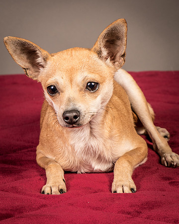 Foster Rosanna-3773