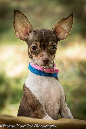 Foster Joanie-3727