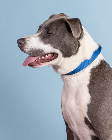 Foster Juliana-8108