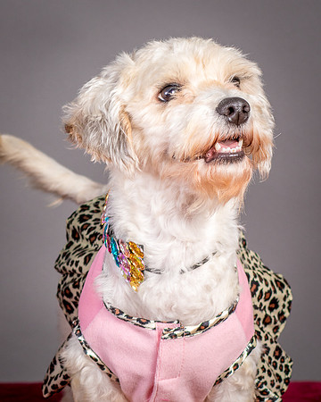 Foster Everly-2128