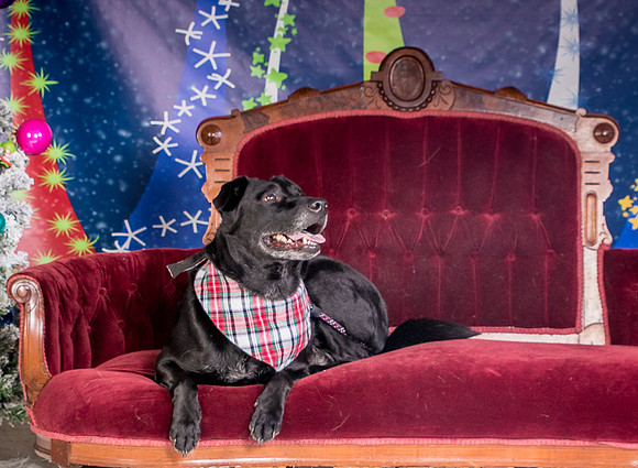 Foster Beatrice-3975