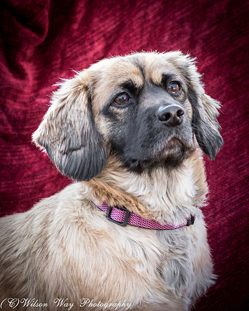 Foster Trudy-38