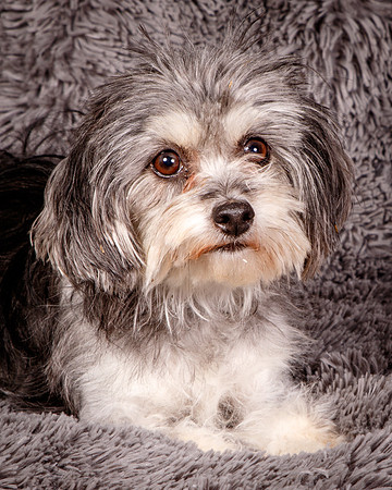 Foster Alex-6217