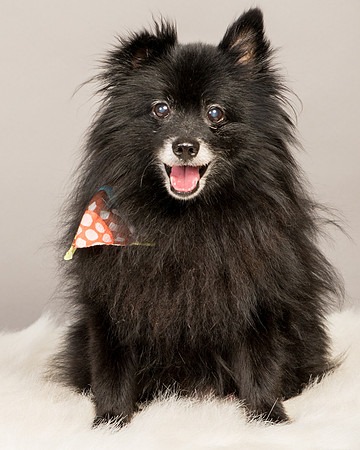 Foster Wayne-8041