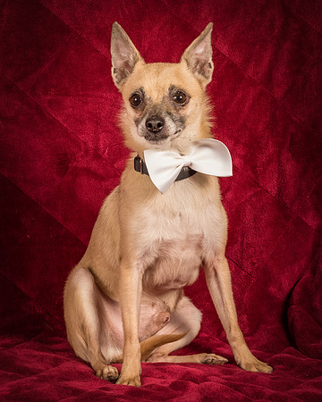 Foster Kiwi-8611