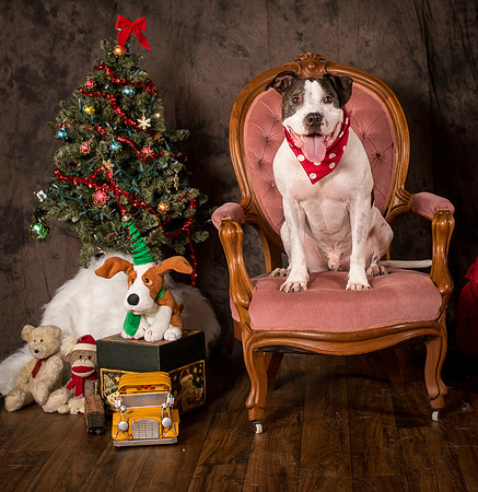 Foster Duke-0532
