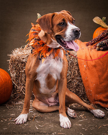 Foster Betsy-7540