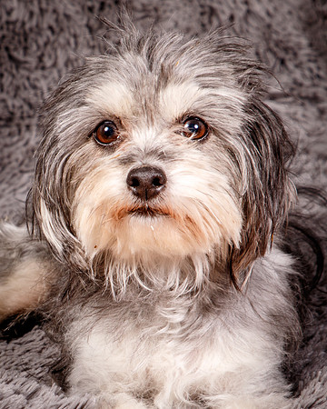 Foster Alex-6241