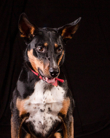 Foster Mia-1255