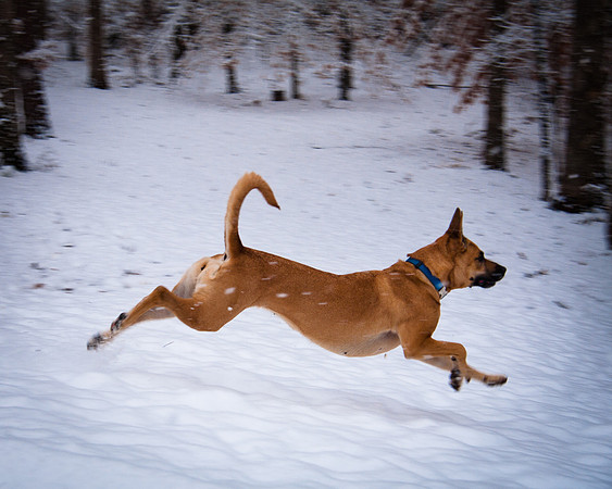 roxy running in snow-3913