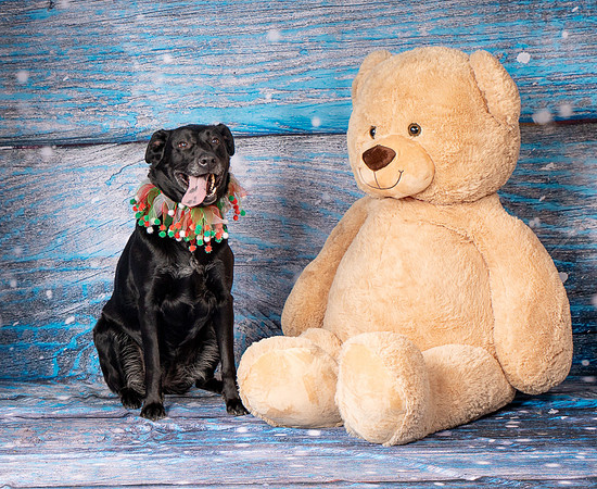 Foster Beatrice-4029