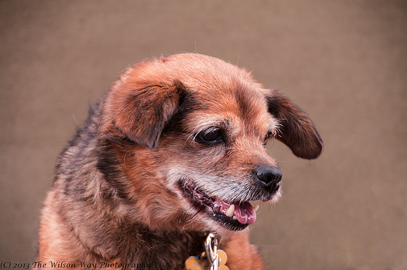 Foster Keela-7108