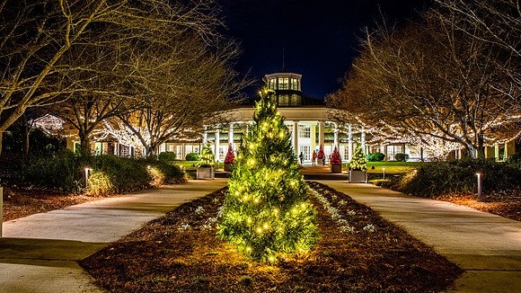 Christmas-2955