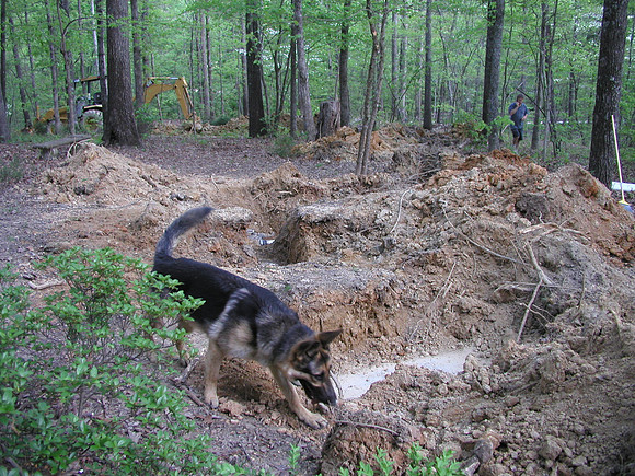 Septic Tank-1010072