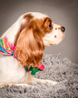 Foster josephina-3708