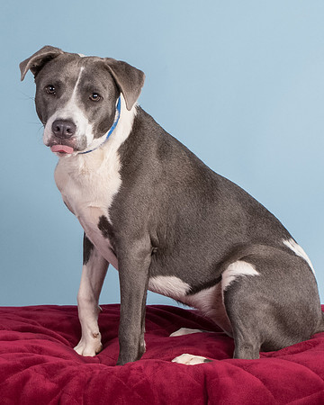 Foster Juliana-8103
