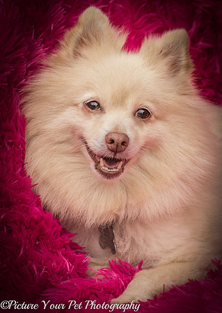 Foster Laverne-6307