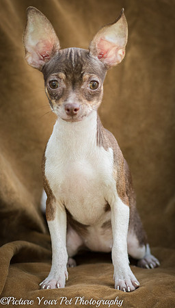 Foster Joanie-2-2