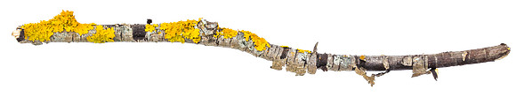 Stick_2