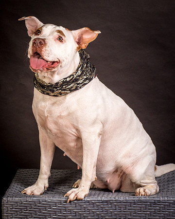 Foster Joanie-0432