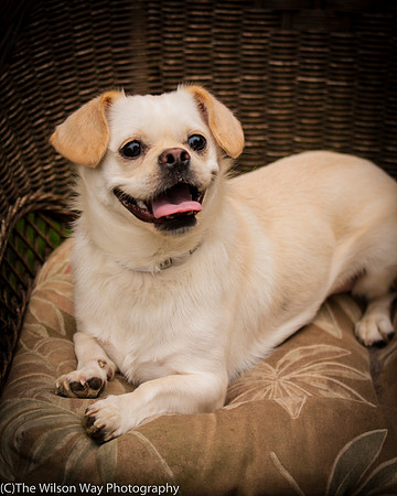 Foster Bonnie-2996