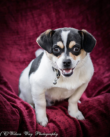 Foster Jethro