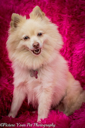 Foster Laverne-6348