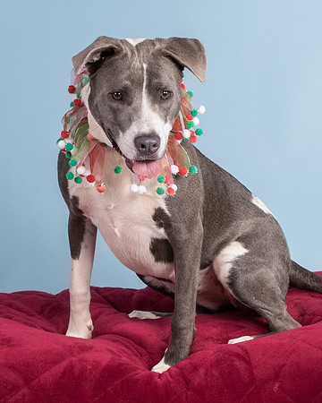Foster Juliana-8089