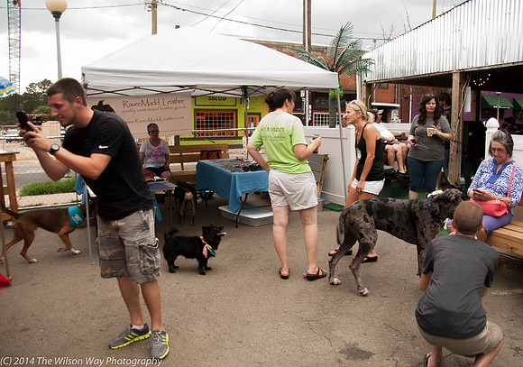 Carolina Mastiff Rescue-0666
