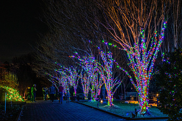 Christmas-2579