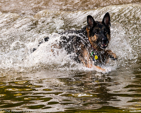 Gretchen on the run-1035