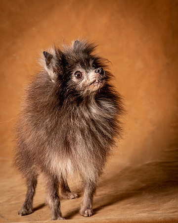 Foster Loretta-1307