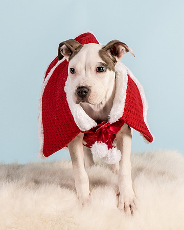 Foster Luna-4733