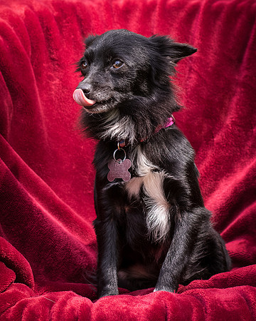 Foster Julio-8427
