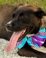 Darlington -Melanie-9378