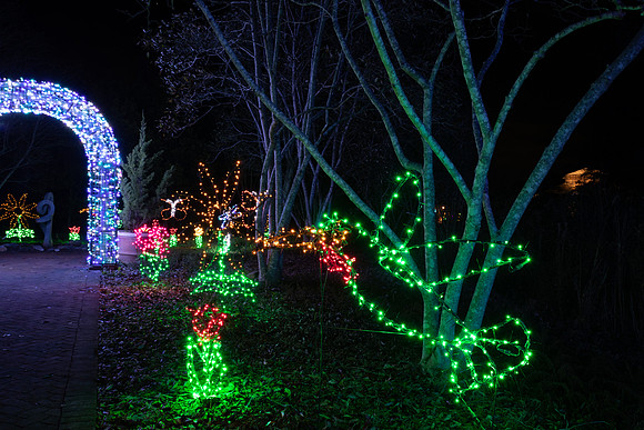 Christmas-2868
