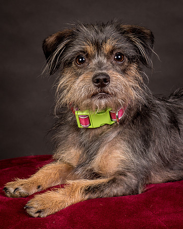 Foster Nadine-9612
