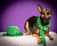 Izzy-2199