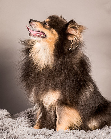 Foster Clint-4253