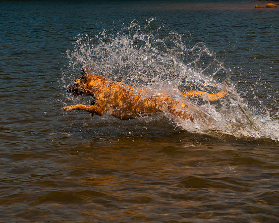 Roxy Running in Lake2-0532