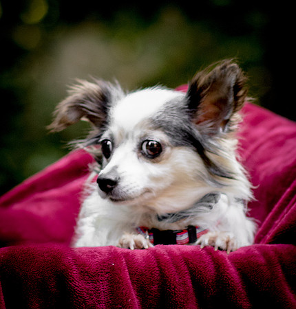 Foster Anouk-8705