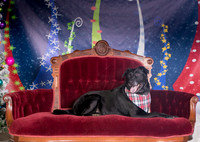 Foster Beatrice-3981