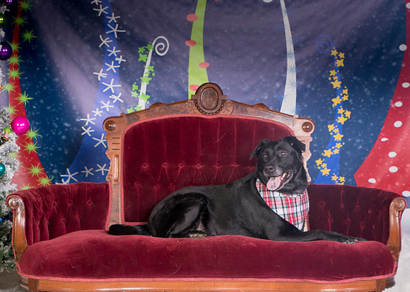 Foster Beatrice-3981