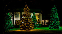 Christmas-2555