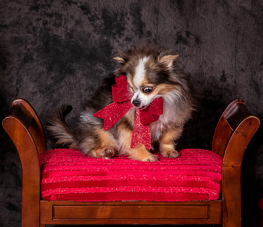 Foster Gabe-4429